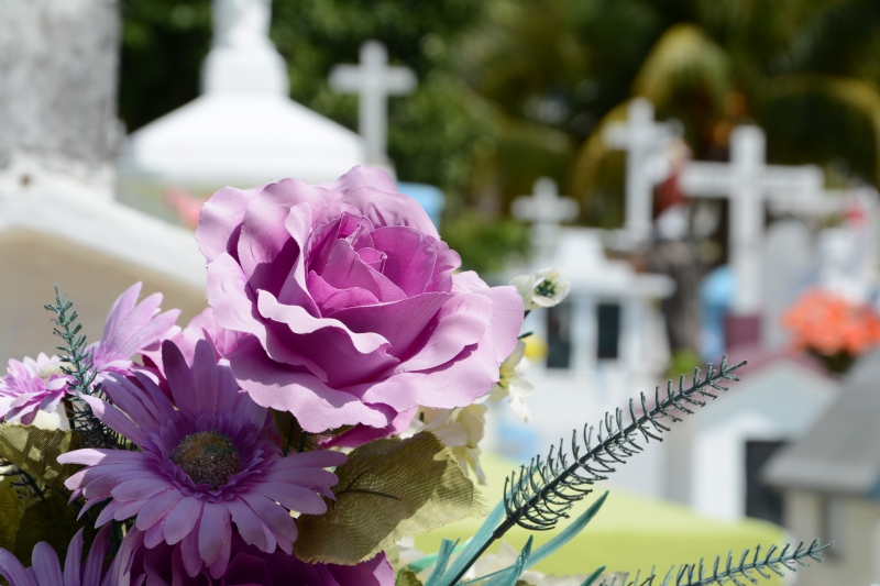 funeraire-THEOULE SUR MER-min_cementerio-948048